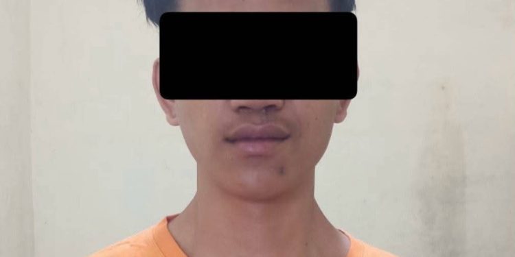 Setubuhi Anak Dibawah Umur, Pelaku Diamankan Polsek Seputih Banyak