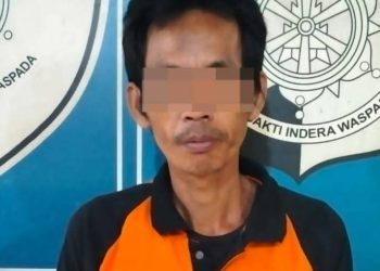 Motor Pelaku Pencurian Buah Sawit Dibakar Warga, Kapolsek Padang Ratu Imbau Masyarakat Jangan Main Hakim Sendiri