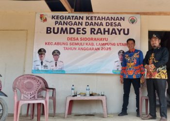 Desa Sidorahayu Abung Semuli Kembangkan Budidaya Ayam Petelur untuk Ketahanan Pangan