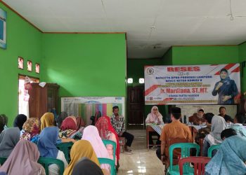 Anggota DPRD Provinsi Lampung Wakil Ketua Komisi V fraksi Partai NASDEM Ir. Mardiana, ST., MT Melakukan Kunjungan Kerja di Pekurun Udik