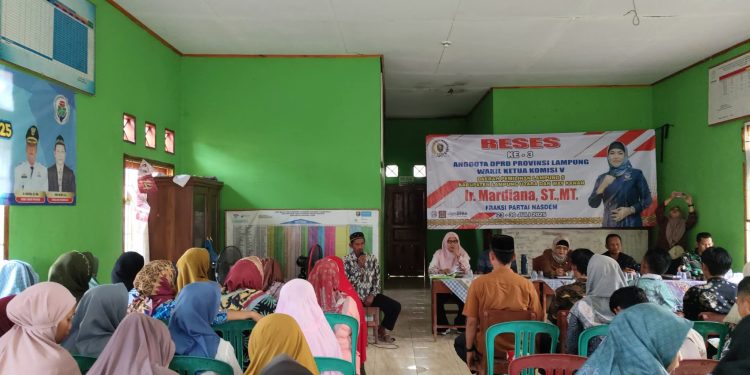 Anggota DPRD Provinsi Lampung Wakil Ketua Komisi V fraksi Partai NASDEM Ir. Mardiana, ST., MT Melakukan Kunjungan Kerja di Pekurun Udik
