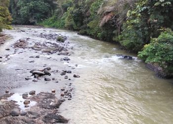 Sungai Keruh Akibat Tambang Emas Ilegal, Warga Desa Tiaro Resah