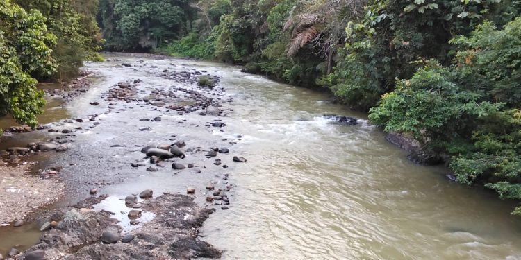 Sungai Keruh Akibat Tambang Emas Ilegal, Warga Desa Tiaro Resah