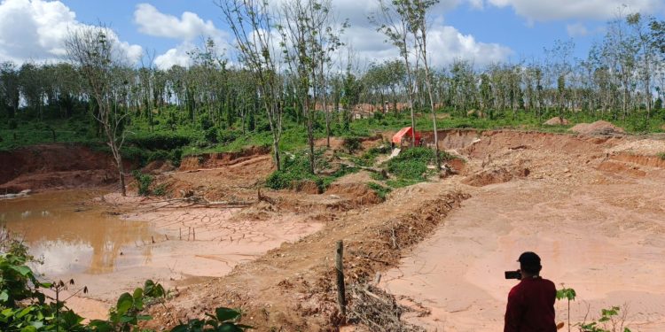Wow….Dilahan PTPN VII penambang Emas ilegal bisa hasilkan 20 gram perhari