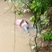 DIDUGA WARGA PURWODADI LAMPUNG UTARA SEMPAT HILANG DITEMUKAN MENGAMBANG DI SUNGAI
