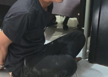 Pelaku Utama Pembunuh Wartawan di Babel Akhirnya Berhasil di Ringkus DPP KWIP Beri Apresiasi Polisi