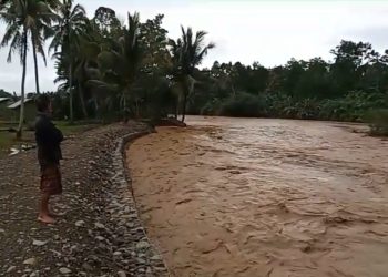 Tanggul Wai Belu Jebol ,Ketua DPC PWRI Tanggamus Minta Dinas PSDA Bangun Tanggul Permanen 