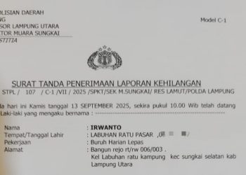 Telah Hilang Surat Tanda Nomor Kendaraan dengan Plat BE 3117 JZ