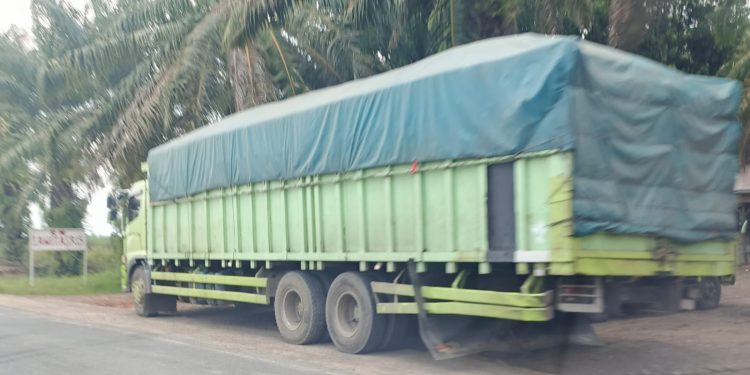 Supir Minta Polda Lampung Gelar Razia Rutin: Pungli Masih Merajalela di Jalur Tengah Sumatera dan Jembatan Way Giham