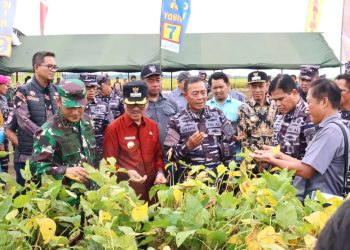 Bupati dan Wakil Bupati Lampung Utara Dampingi KASAL Tinjau Persiapan Panen Ketahanan Pangan TNI AL dan Rencana Kunjungan Presiden RI