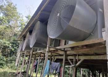 Hanya Kantongi SIUP, Peternakan Ayam di Desa Sidoharjo Telah Beroperasi selama 8 Tahun