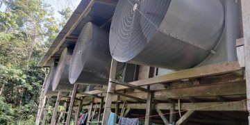 Hanya Kantongi SIUP, Peternakan Ayam di Desa Sidoharjo Telah Beroperasi selama 8 Tahun