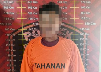 Polsek Penawartama Berhasil Ungkap Sindikat Pencurian Sawit, Dua Pelaku Dibekuk Bersama Mobil Grand Max Bermuatan Barang Bukti