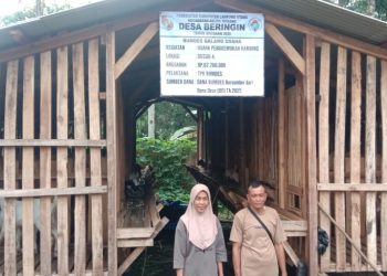 Penggemukan Kambing Dan Ternak Lele,  Fokus Pengembangan Bumdes Galang Usaha Di Desa Beringin 