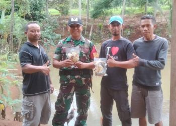 Inovasi Ketahanan Pangan: Babinsa dan BUMDES Barokah Sulap Ikan Segar Jadi Produk “Siap Masak” Berkelas