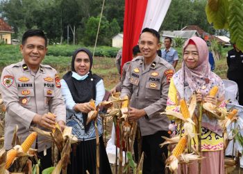 Polres Tuba Tancap Gas Dukung Ketahanan Pangan Nasional, Panen Raya Jagung Serentak Kuartal I 2026 Digelar Meriah