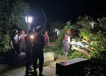 Sigap, Pamapta 1 Polres Lampung Utara Pimpin Evakuasi Pohon Tumbang di Bunga Mayang