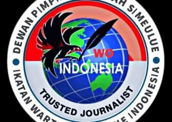 Ketua DPD IWO Indonesia Simeulue: Prihatin dan Mengecam Keras Maraknya Pelanggaran Hak Cipta Karya Jurnalistik di Media Sosial