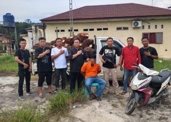 Polsek Gedung Aji Tancap Gas Pencuri Sawit Di Pt GMPK Di Bekuk 50 Tandan Di Amankan 