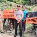 Panen Raya Ketahanan Pangan Desa Rantau Bedaro, Wujud Sinergi Pemerintah Desa dan Forkopimcam