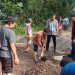 Bersama Masyarakat Anggota DPRD Dan Camat Abung Selatan Kembali Perbaiki Jalan Rusak