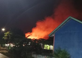 Kebakaran Dini Hari Hanguskan Tiga Rumah di Rantau Kasai, Kerugian Capai Rp600 Juta