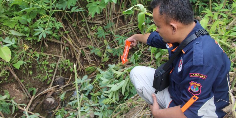 Satreskrim Polres Tanggamus Bersama Unit Reskrim Polsek Wonosobo Berhasil Mengungkap Kasus Tindak Pidana Pembunuhan