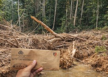 Nur Hasiah Warga Tabir Minta Polisi Tangkap Suri dan Sobirin atas Dugaan Perusakan Kebun