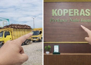 Polemik Harga Sawit Berlanjut, KPNT dan PT AIP Belum Temukan Titik Temu