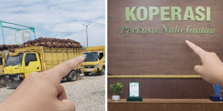 Polemik Harga Sawit Berlanjut, KPNT dan PT AIP Belum Temukan Titik Temu