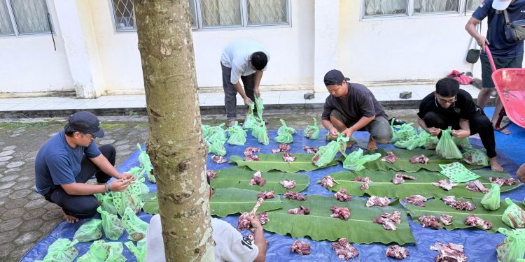 Universitas Muhammadiyah Kotabumi Sembelih Qurban Idul Adha 2026, Untuk masyarakat