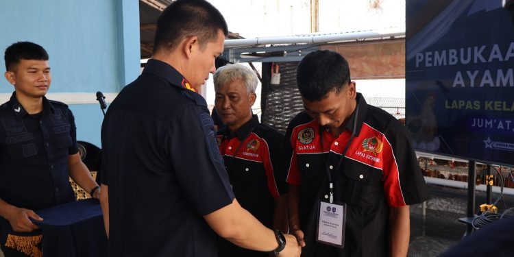 Cetak SDM Produktif dari Dalam Lapas, Pelatihan Ayam Petelur Resmi Dibuka di Lapas Kotabumi