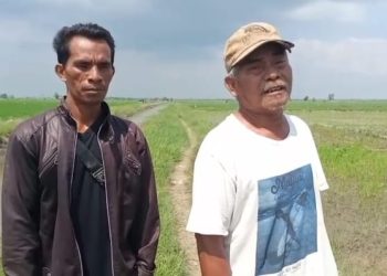 PARADOKS HUKUM DI TULANG BAWANG: SENGKETA GADAI SAWAH BERUBAH JADI KASUS PIDANA?