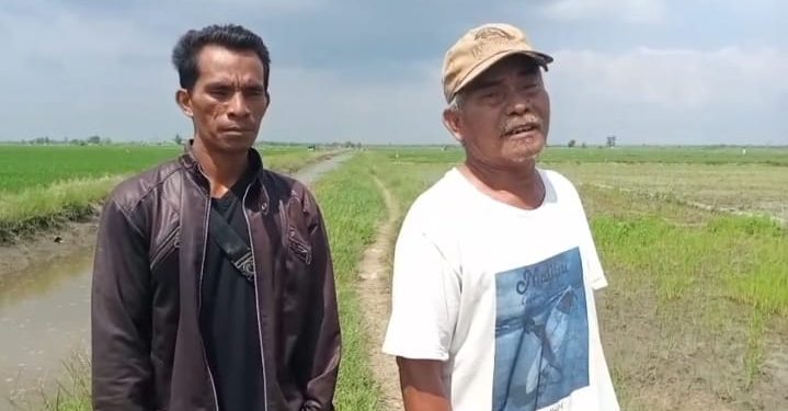 PARADOKS HUKUM DI TULANG BAWANG: SENGKETA GADAI SAWAH BERUBAH JADI KASUS PIDANA?
